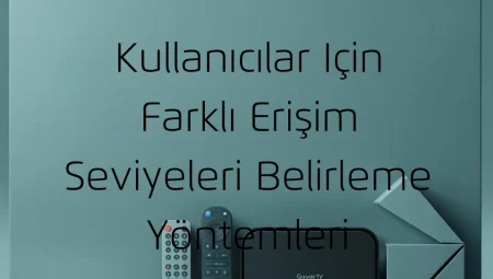 Kullanıcılar için Farklı Erişim Seviyeleri Belirleme Yöntemleri