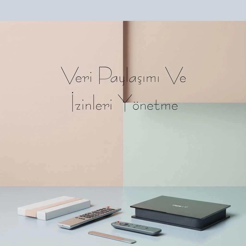 Veri Paylaşımı Ve İzinleri Yönetme